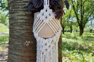 Macrame Plant Hanger